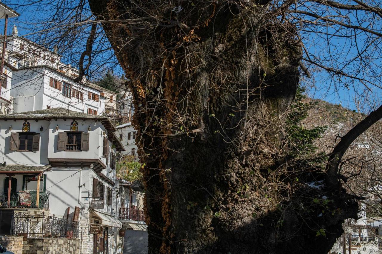 Philos Guesthouse 马克里尼撒 外观 照片